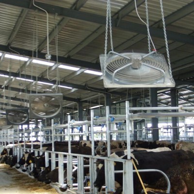 dairy ventilation fan/dairy farm cooling fan